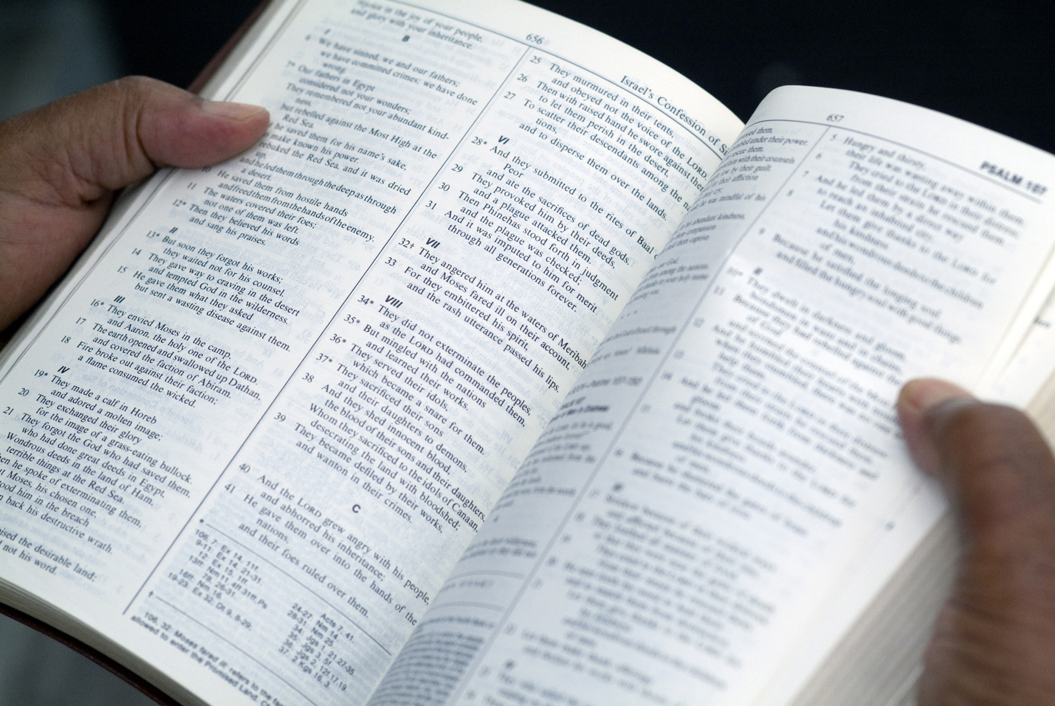Read more about the article America’s Need For Biblical Literacy